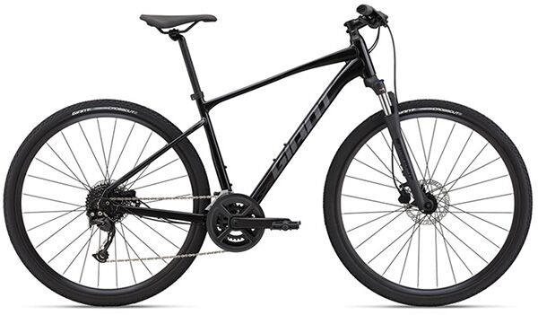 Xe đạp địa hình thể thao Giant Roam 2 Disc 2022